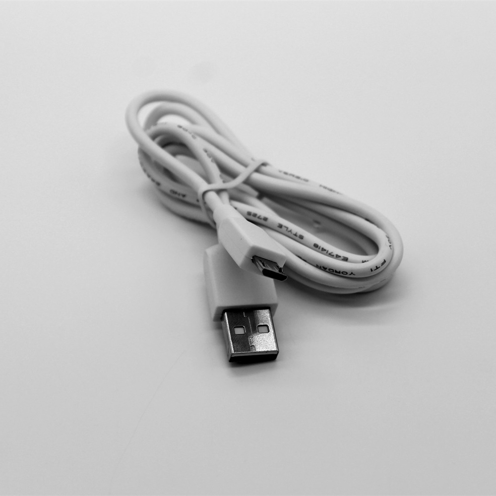 Micro USB cable.JPG